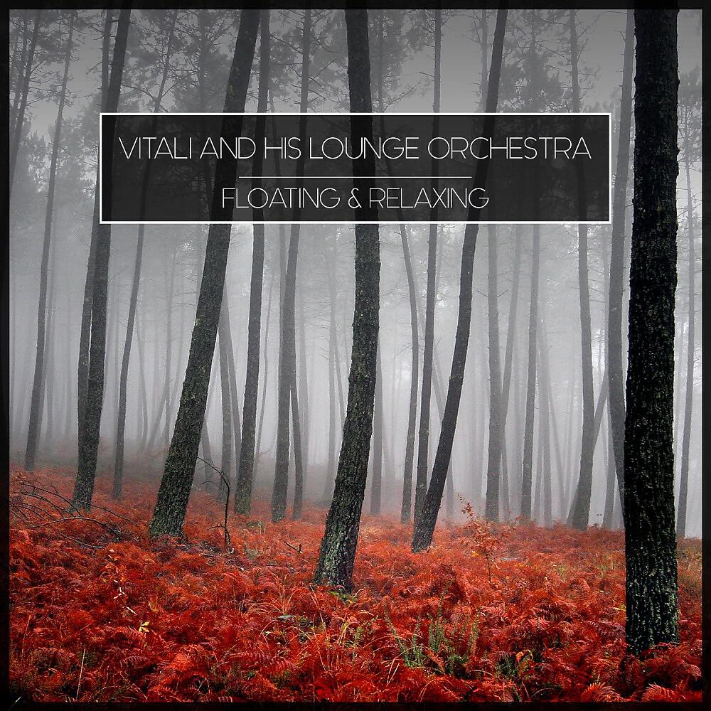 Vitali And His Lounge Orchestra - Floating Waves (Original Mix)