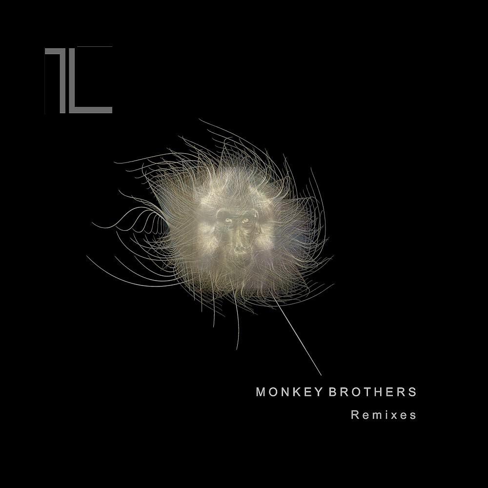 Monkey Brothers - The Singing Bone (Jens Bond Remix)