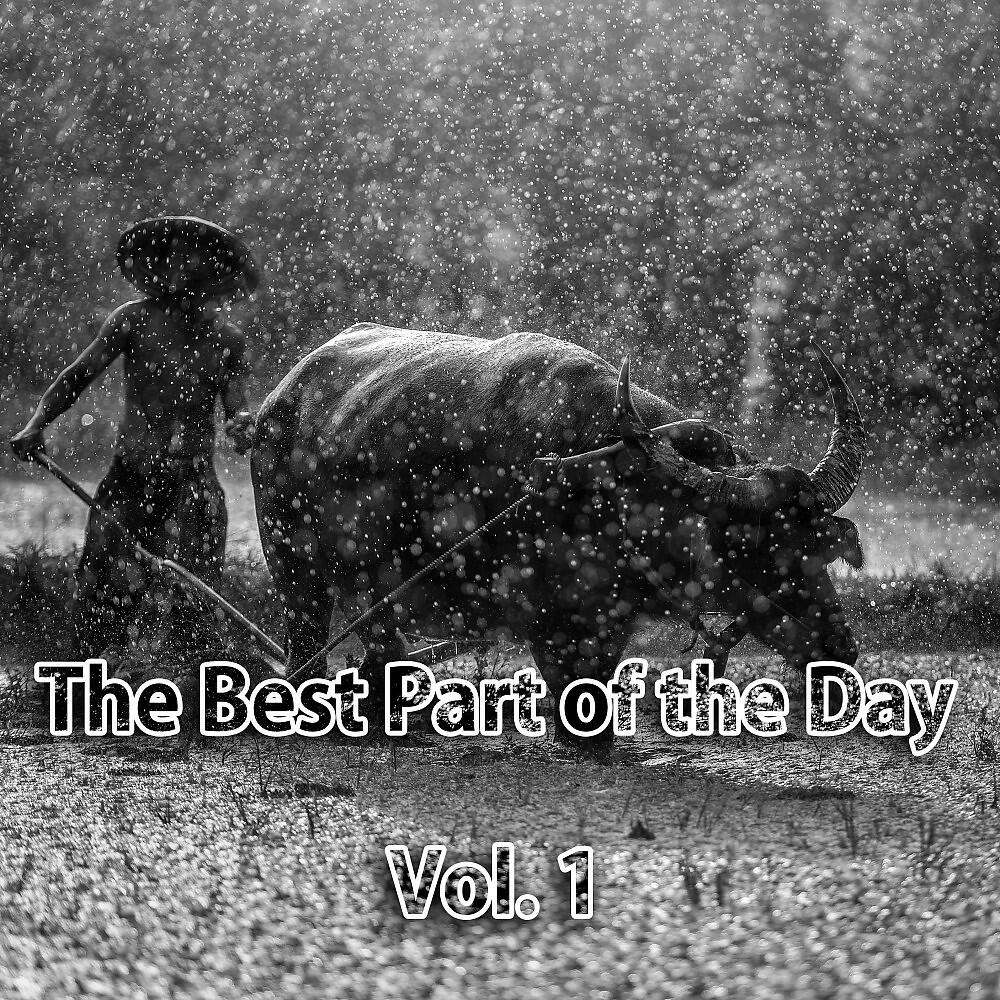 DJ Rusty Razorblade - Bring on the Party (Electro House Compilation 2017 Mix)