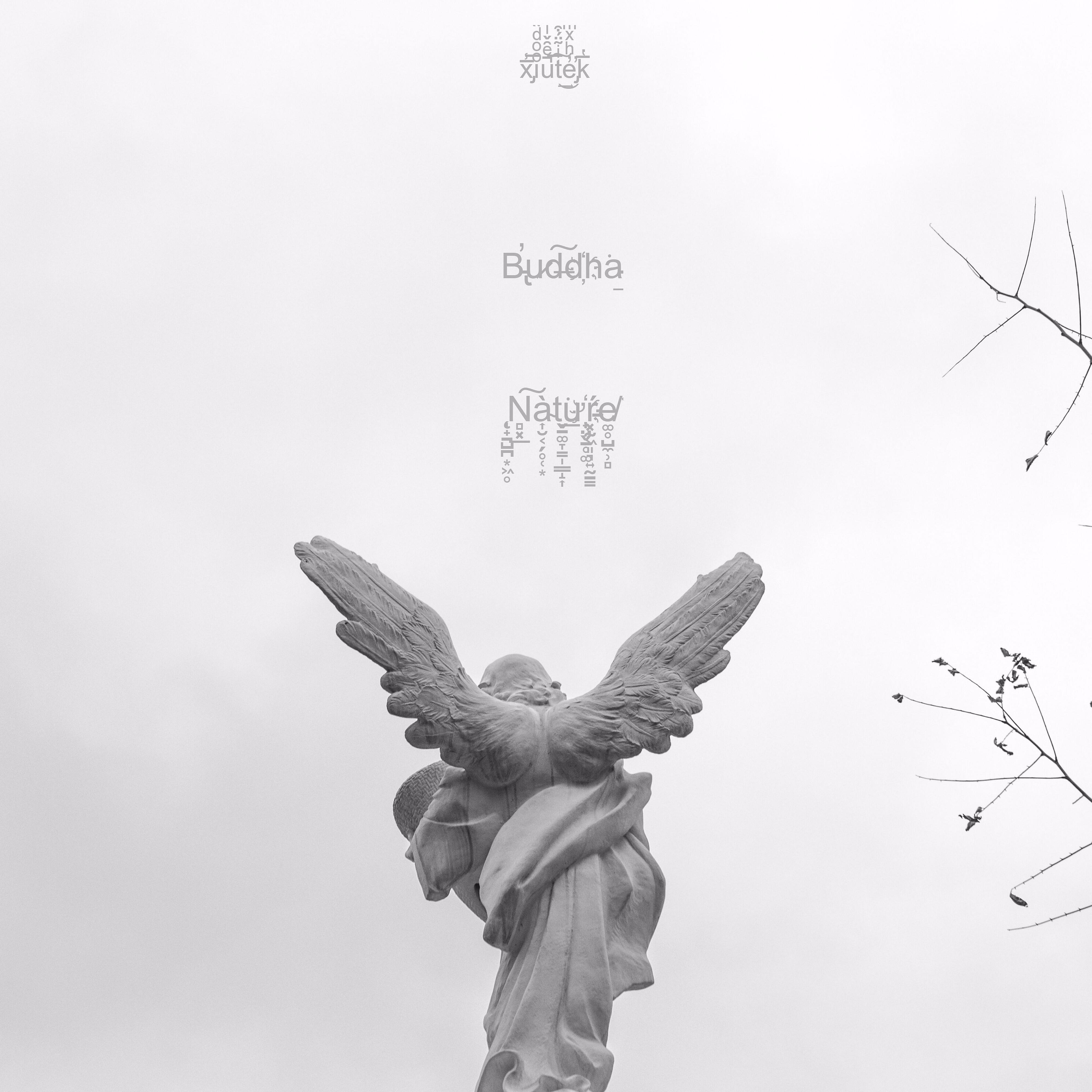 Xiutek - Wadley
