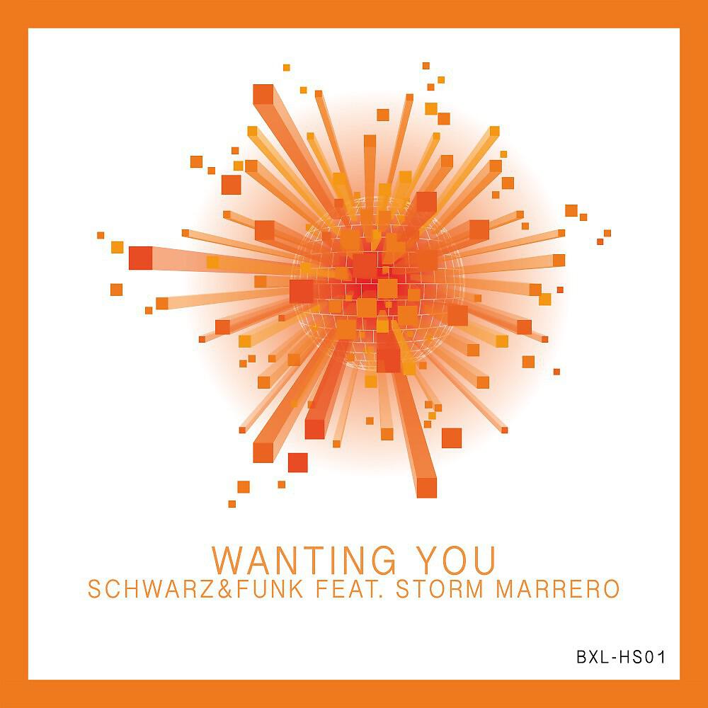 Schwarz - Wanting You (Classic House Mix Radio Edit)