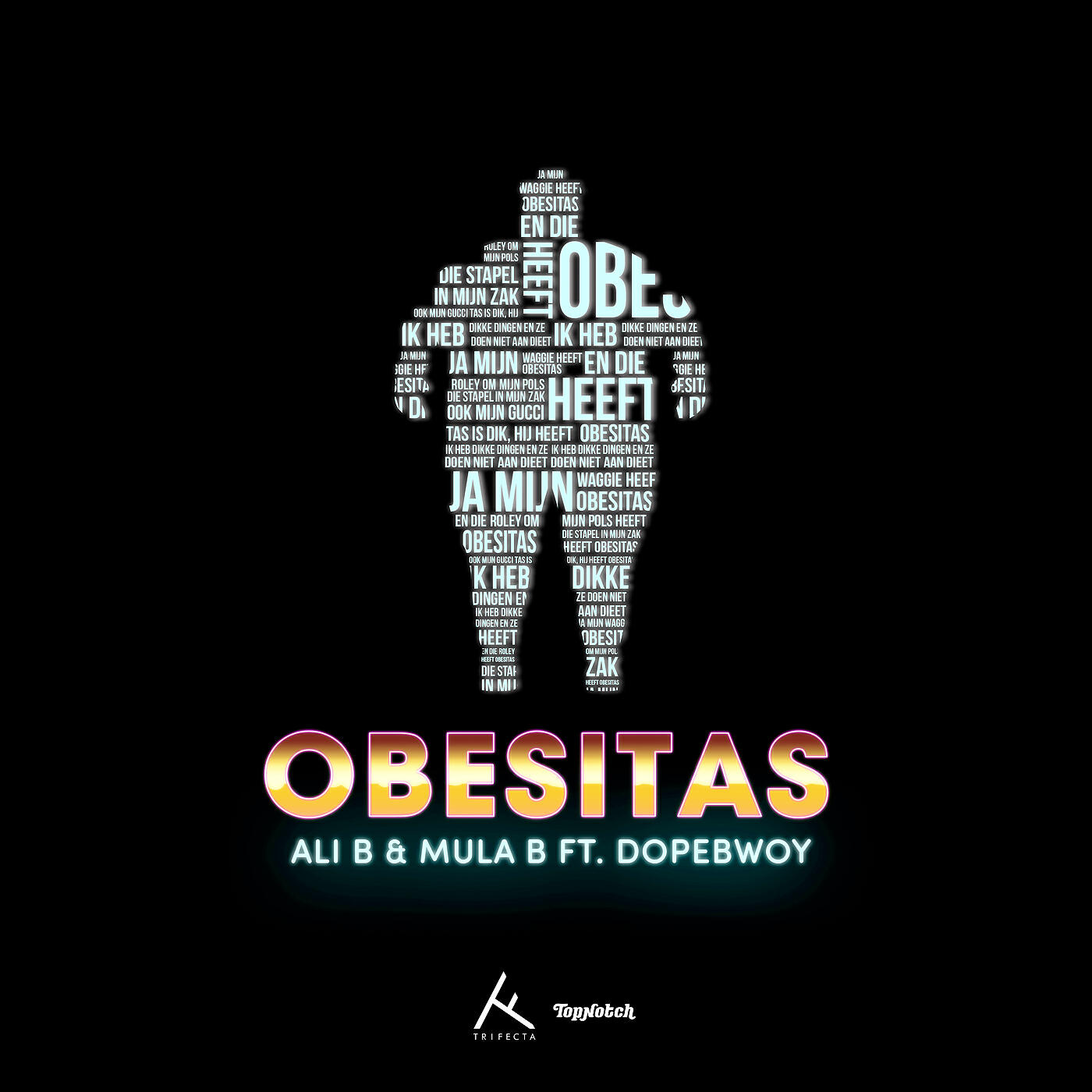 ALI B - Obesitas