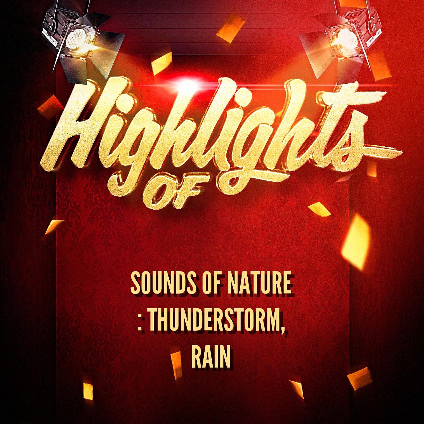 Sounds Of Nature : Thunderstorm - Canopy sounds : birds
