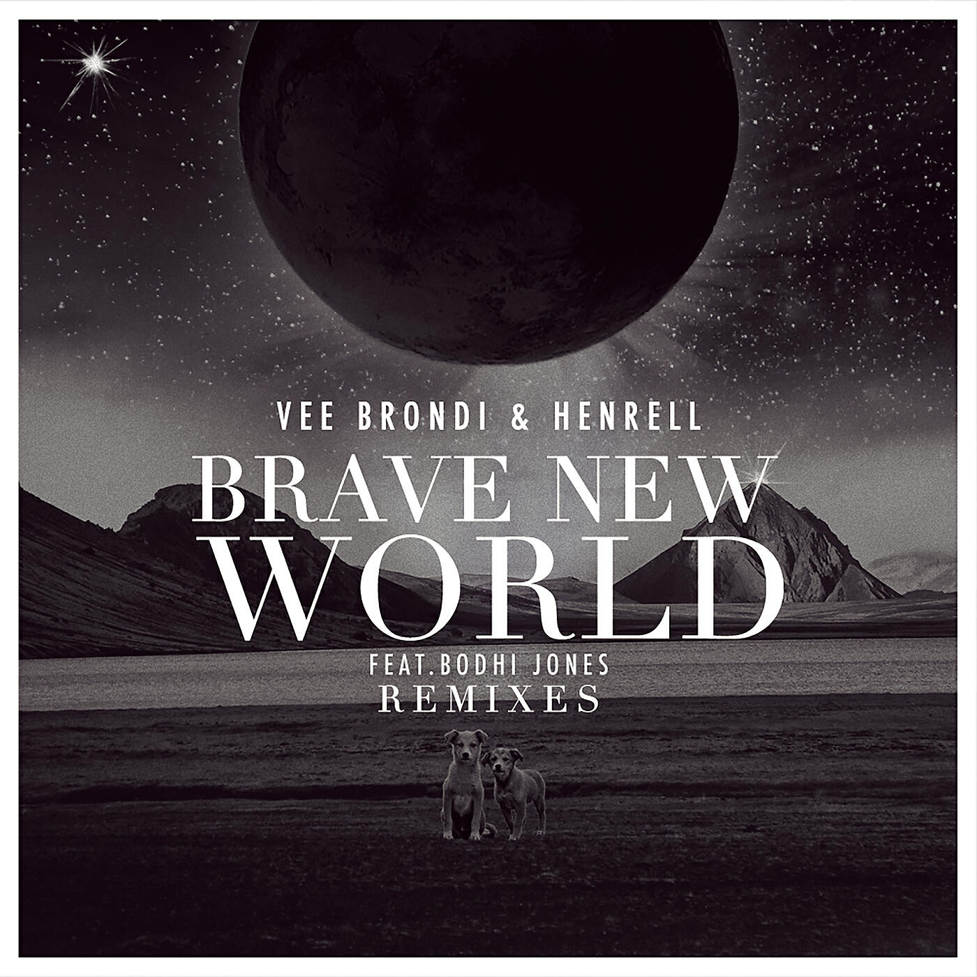 Bodhi Jones - Brave New World (Up&Down Extended Remix)