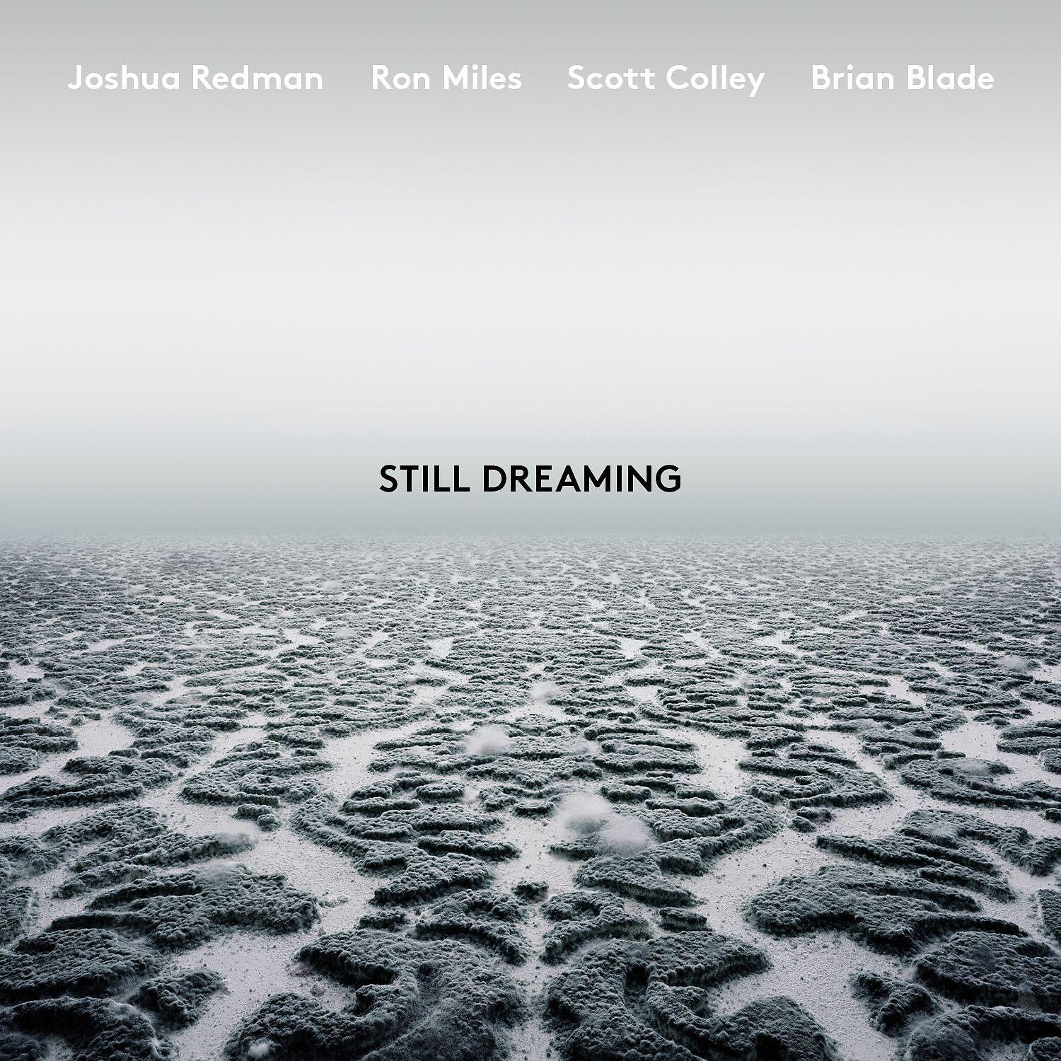 Joshua Redman - Unanimity (feat. Ron Miles, Scott Colley & Brian Blade)