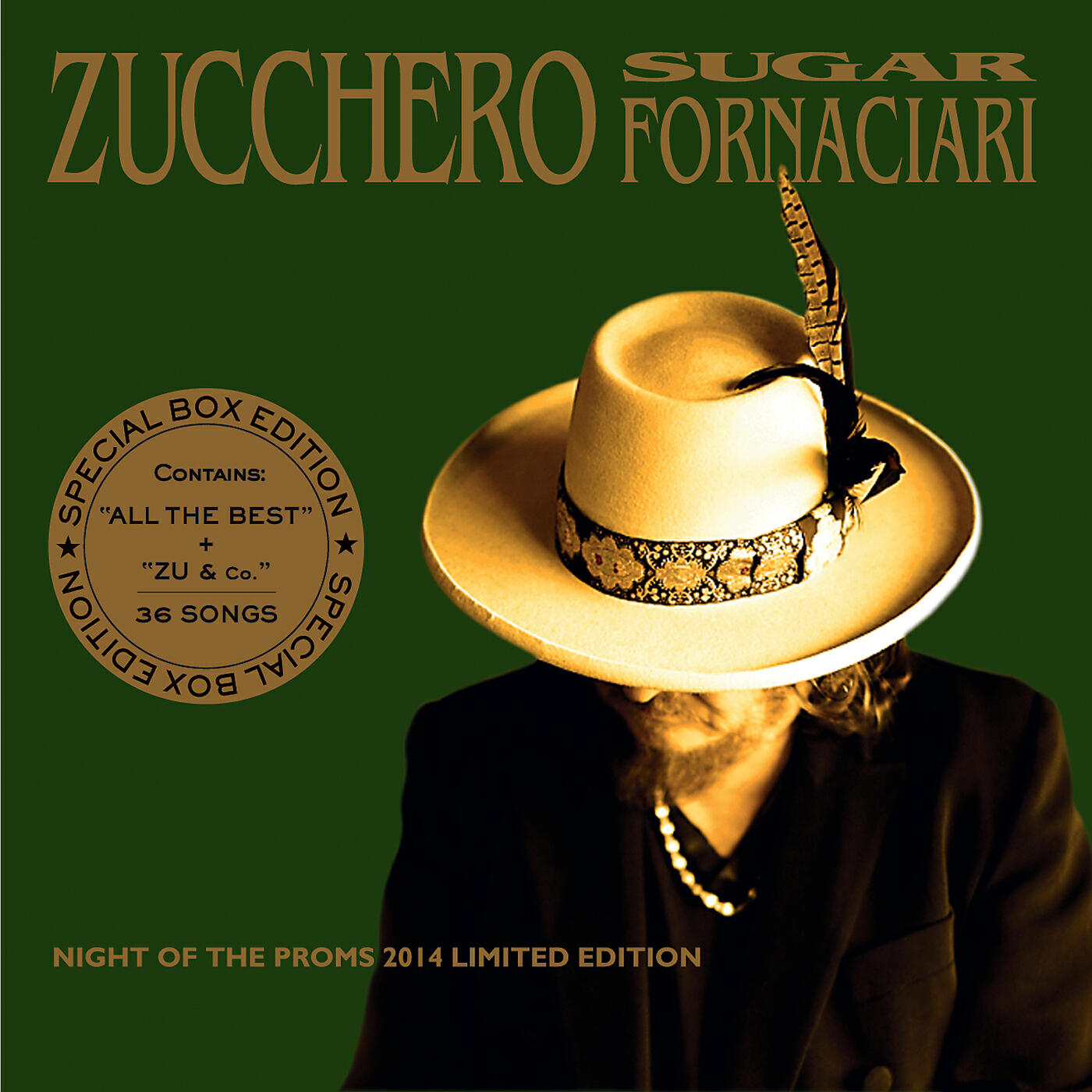 Zucchero - Everybody's Got To Learn Sometime