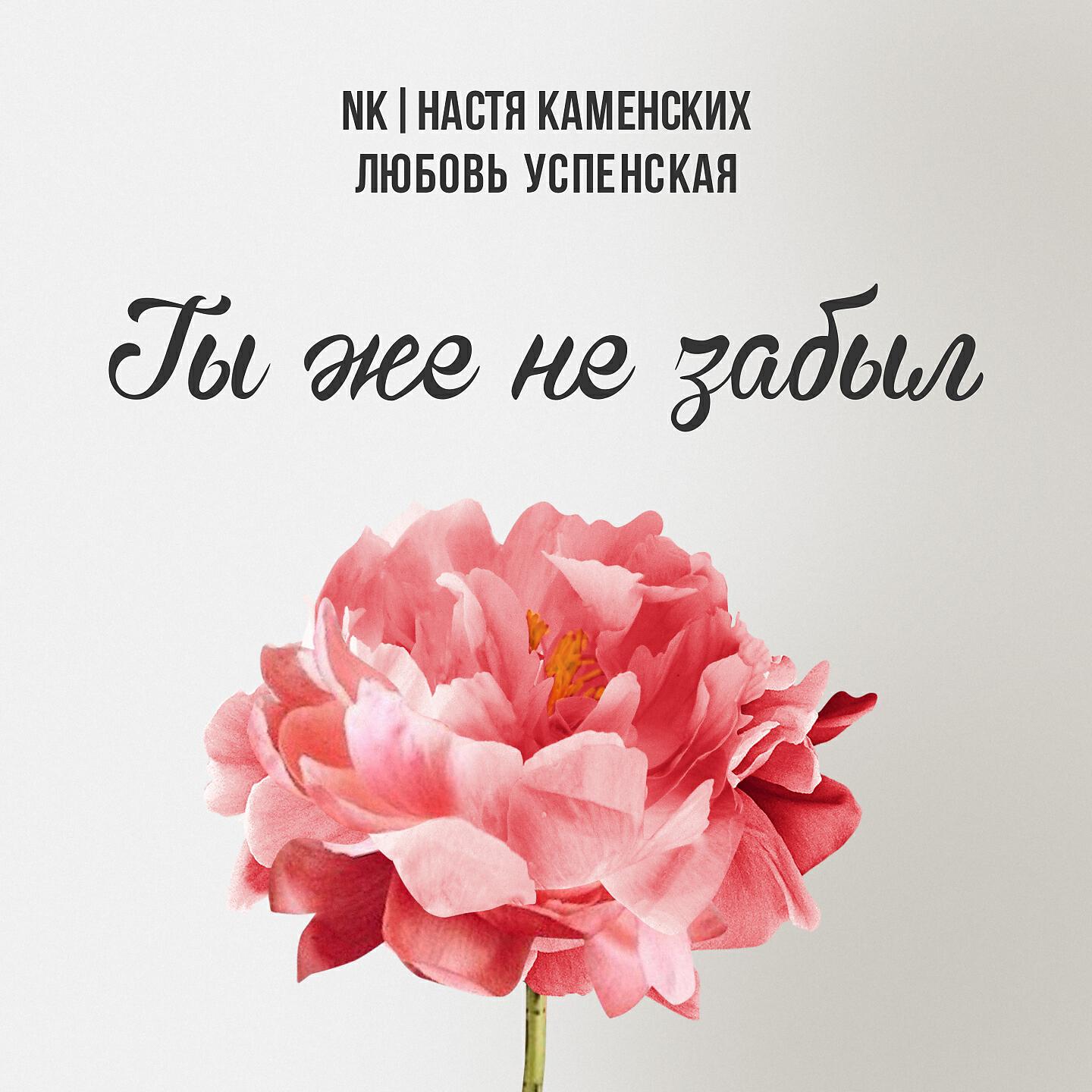 Настя Каменских - Ты же не забыл