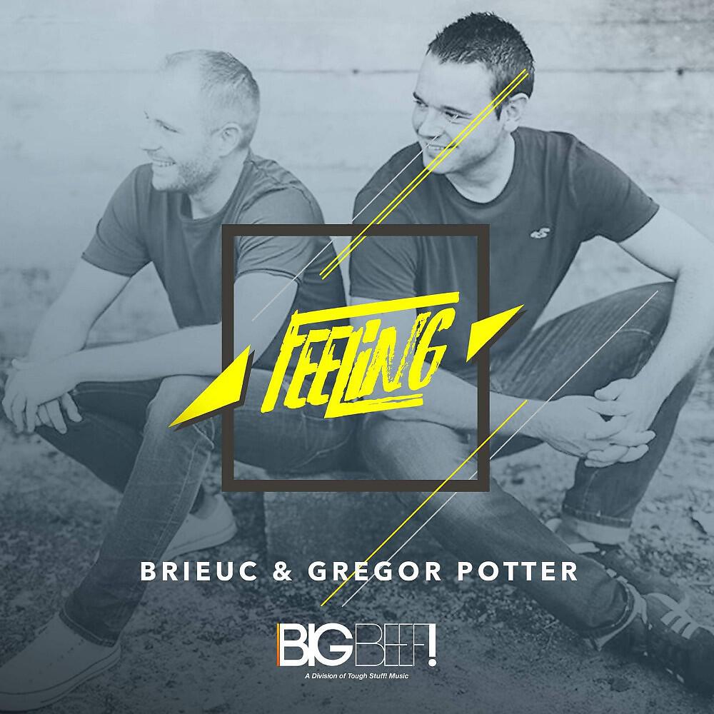 Brieuc - Feeling (Ethan Sparks Remix)