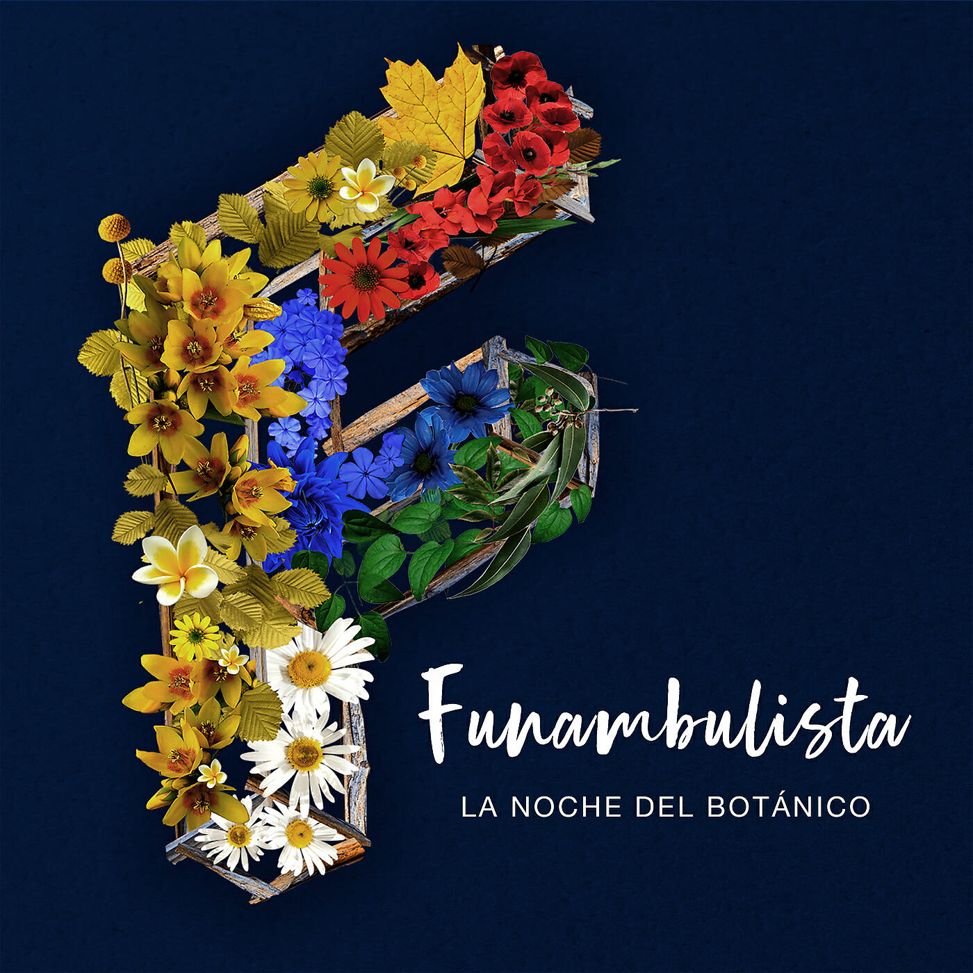 Funambulista - Sólo Luz (En Directo)
