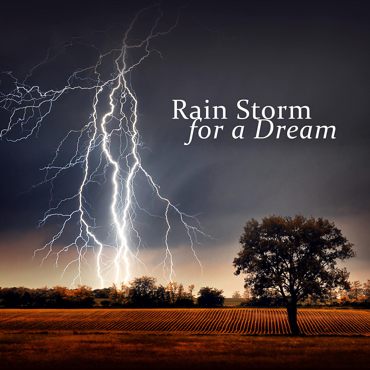 Healing Rain Sound Academy - Hypnotic Rain Sounds feat. Relaxation Meditation Songs Divine