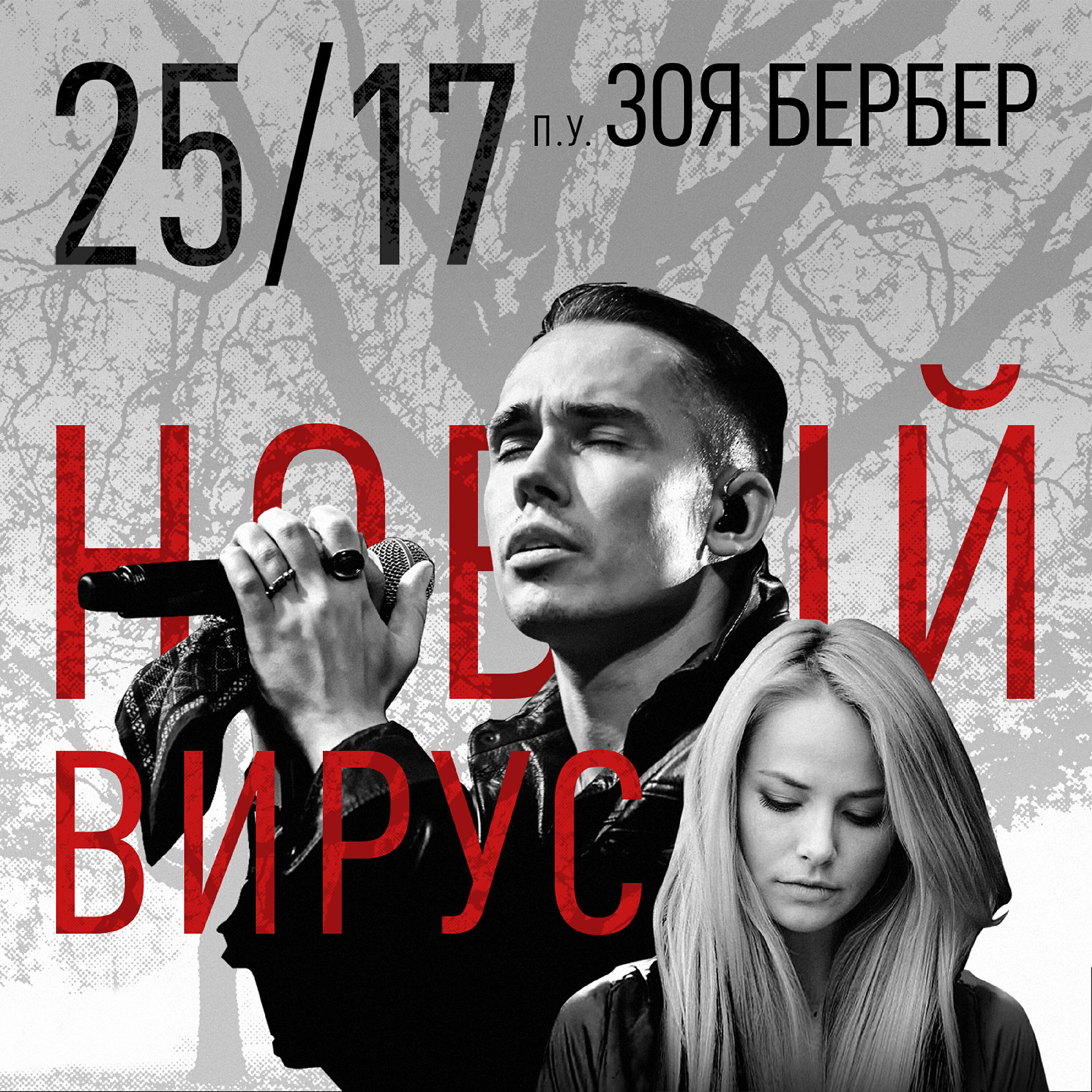 Зоя Бербер - Новый вирус
