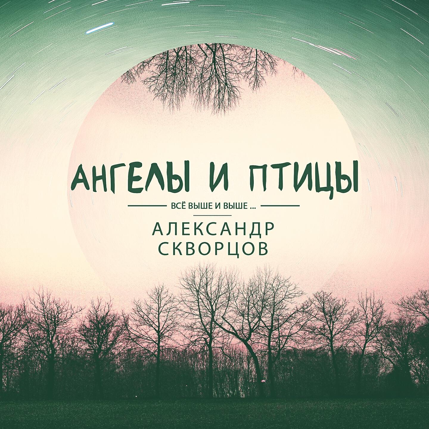 Александр Скворцов - Моя правда