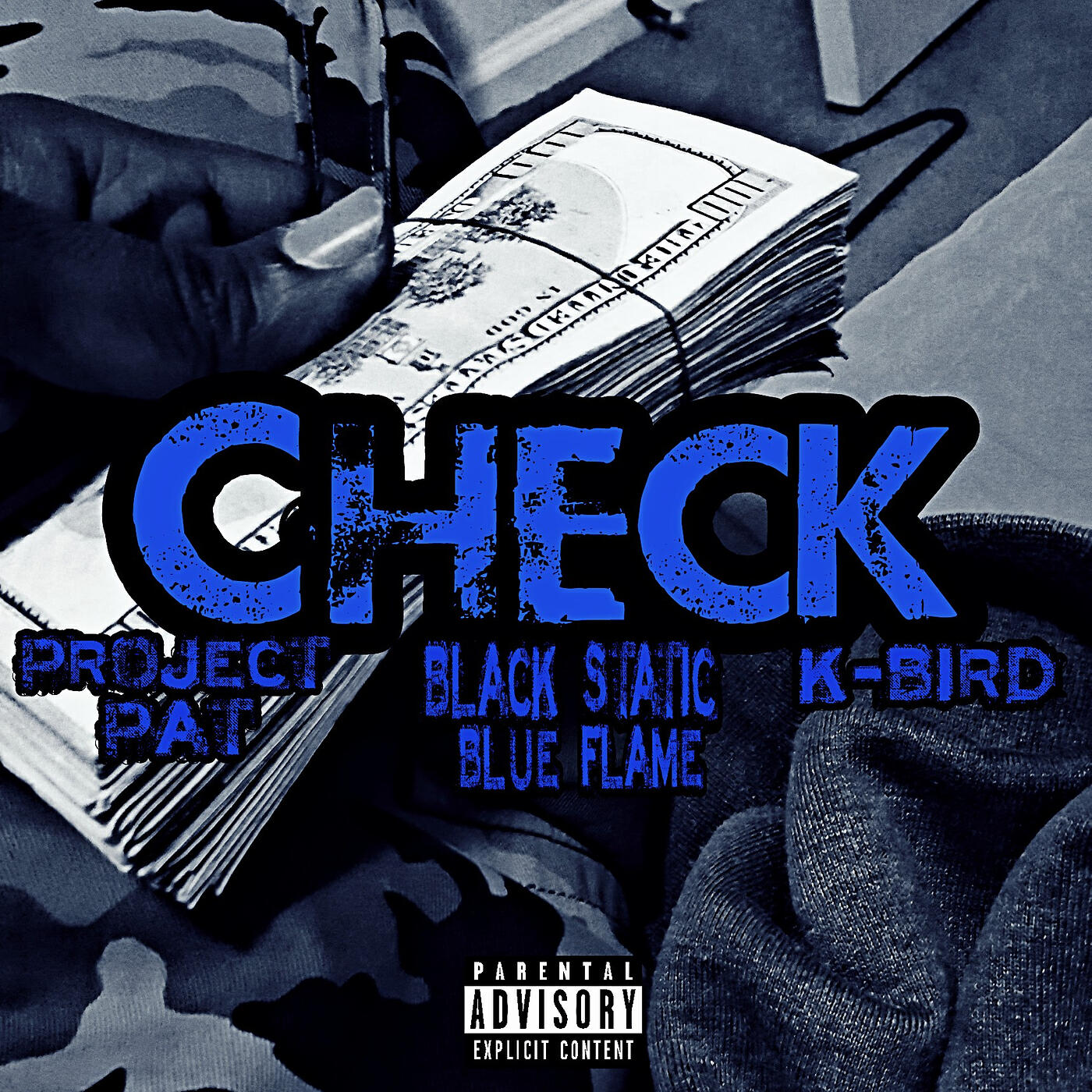 Project Pat - Check