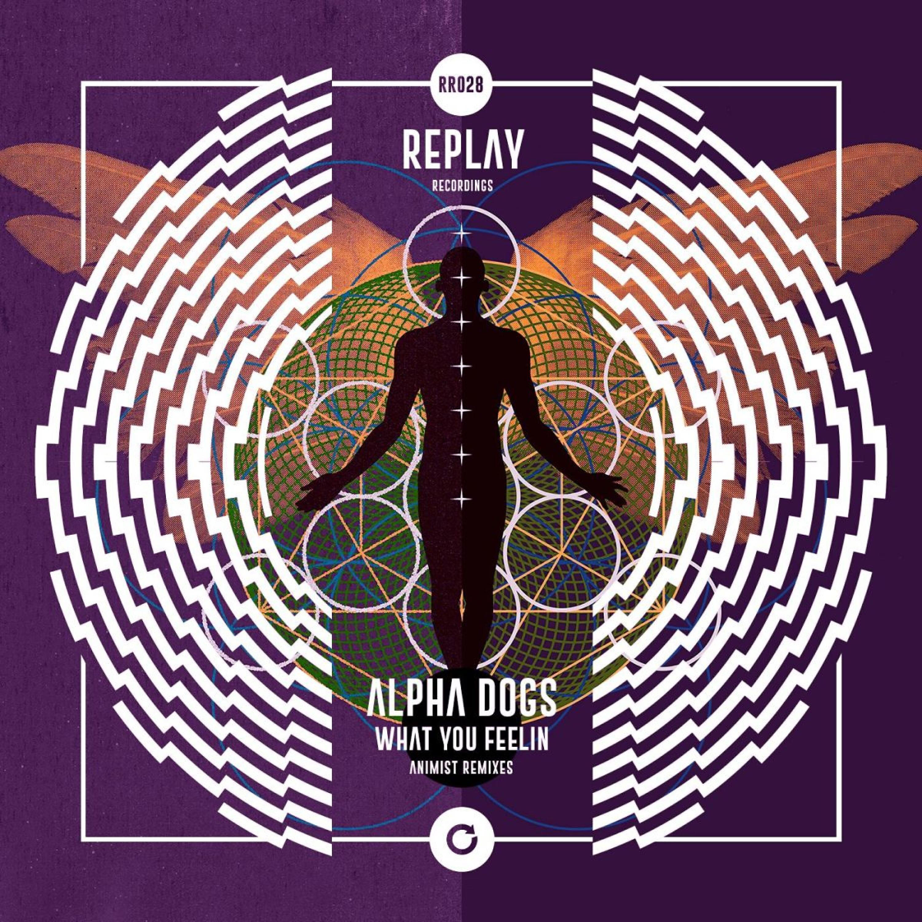 Alpha Dogs - What You Feelin (Animist Bump Mix)