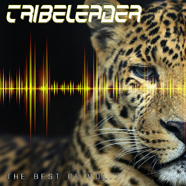 Tribeleader - Sufi