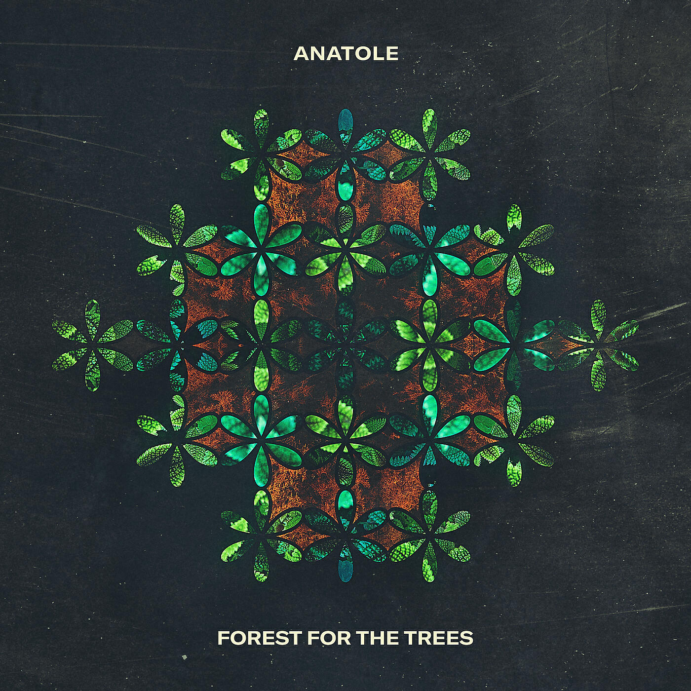 Anatole - Forest For The Trees