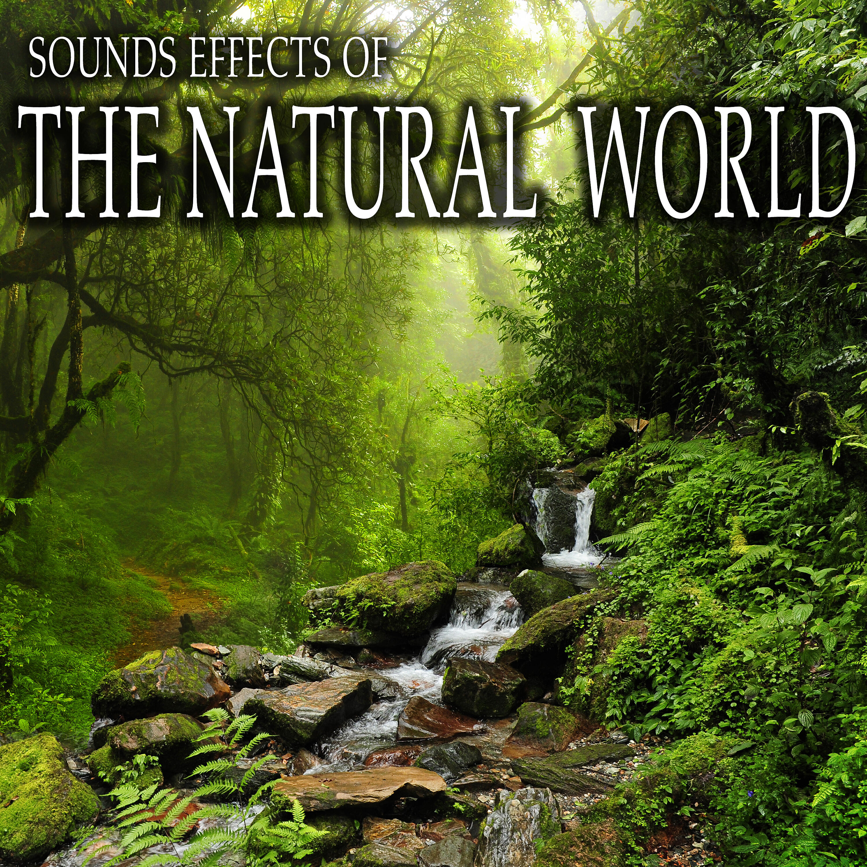 Sound Ideas - Night Time Country Sounds with Steady Field Insects