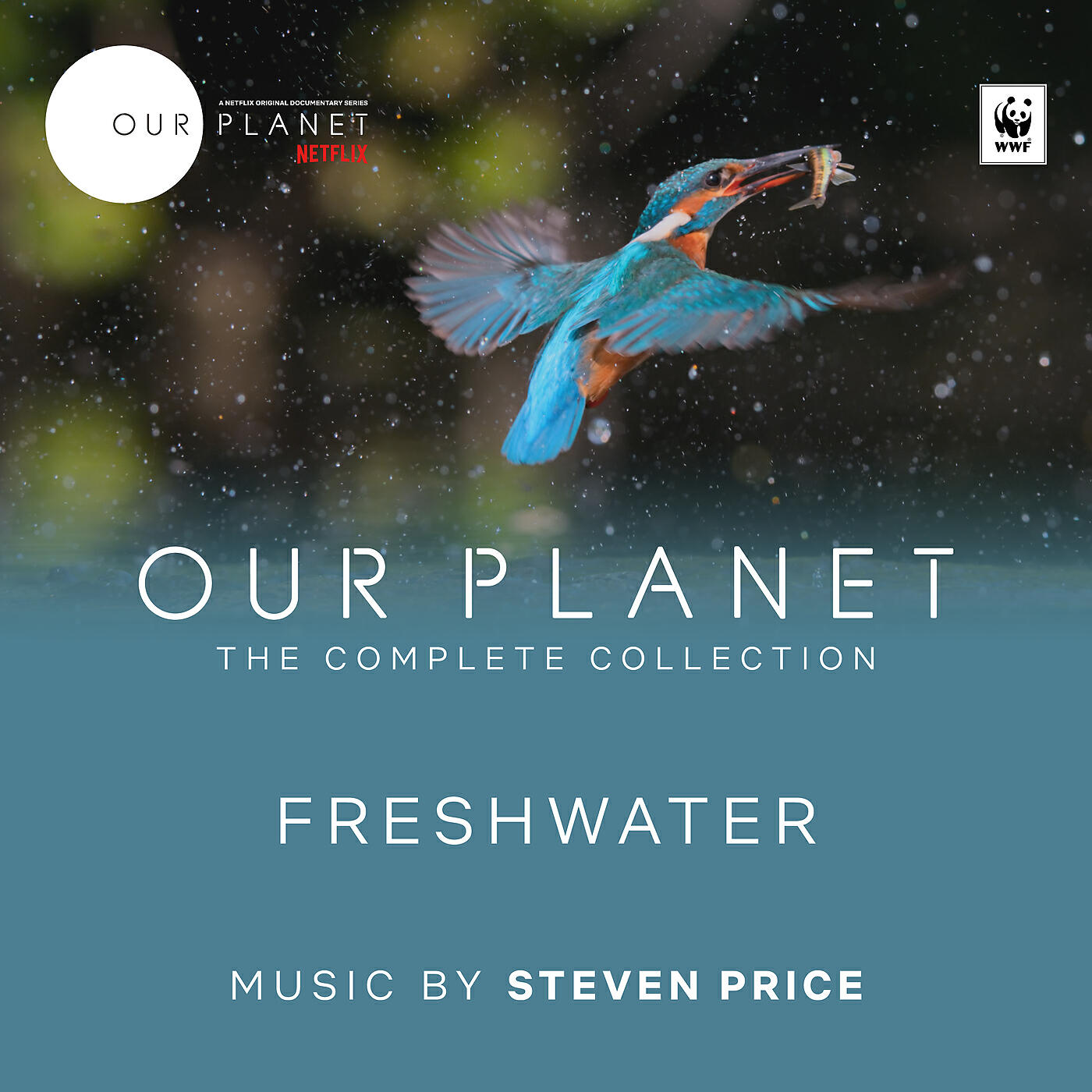 Steven Price - The Desert Is Transformed