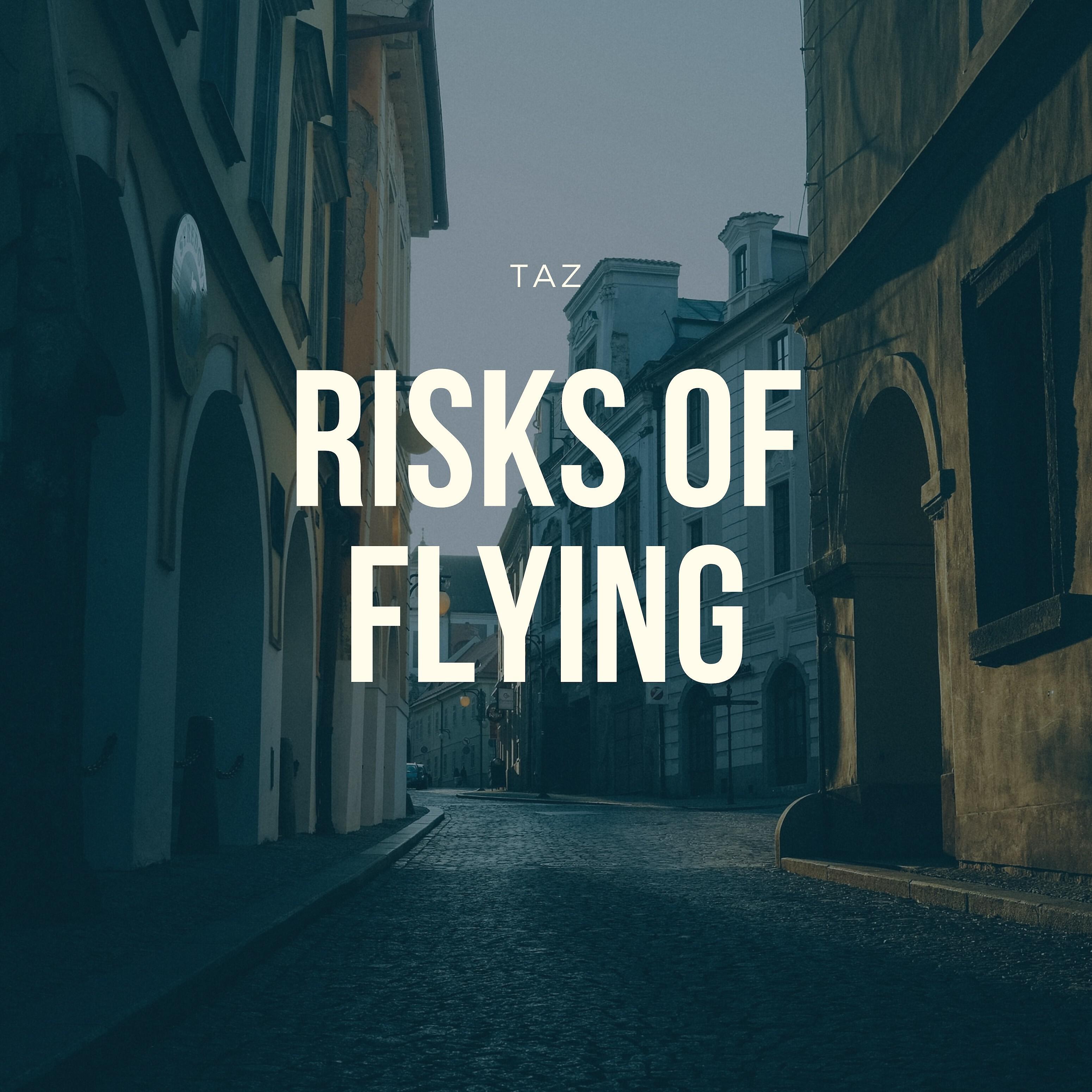 TAZ - Risks of Flying
