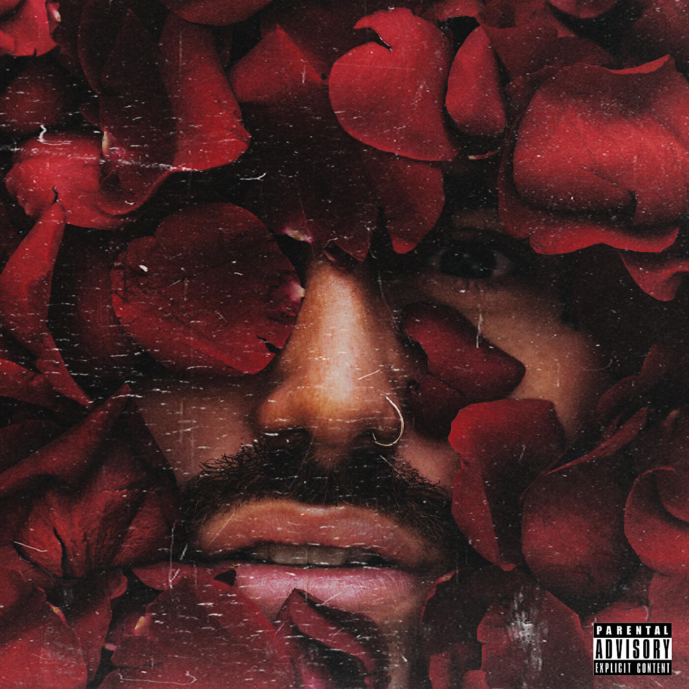 GASHI - Roses