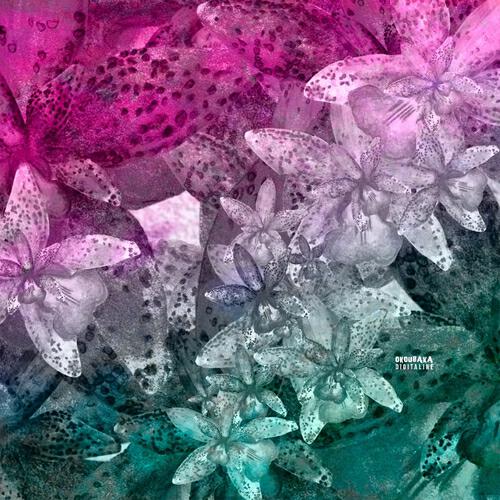 Digitaline - Kaya