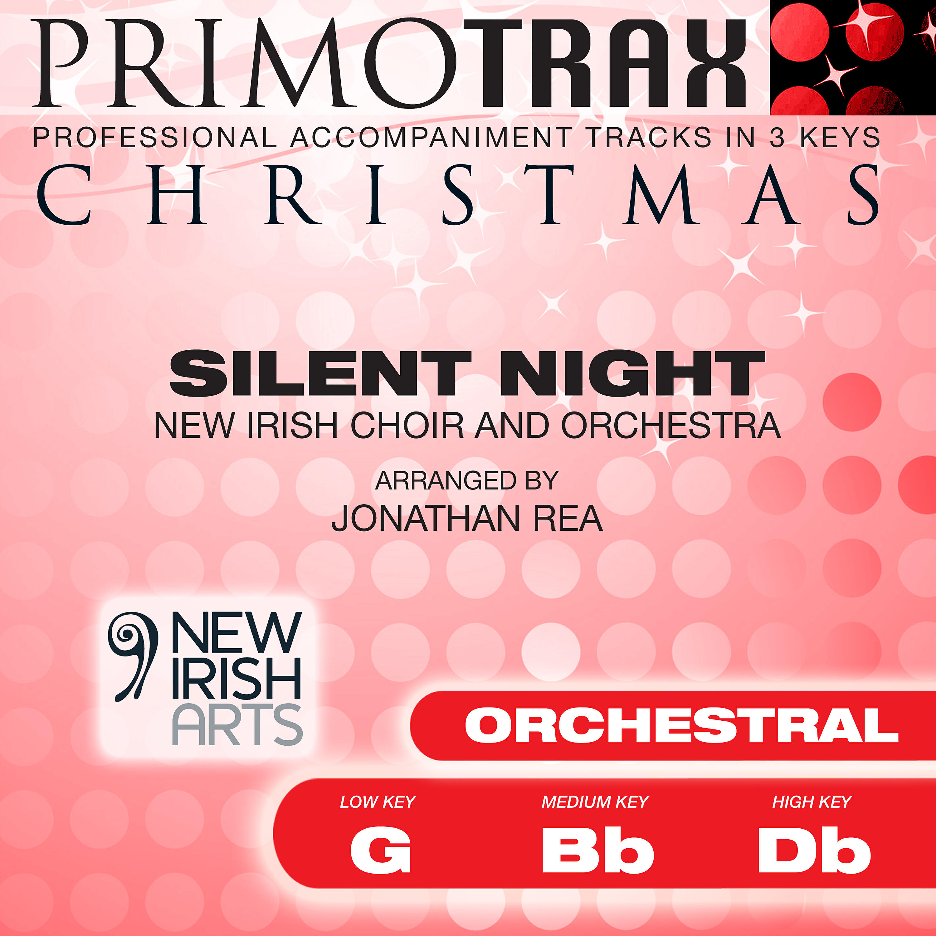 New Irish Choir - Silent Night (Vocal Demonstration)