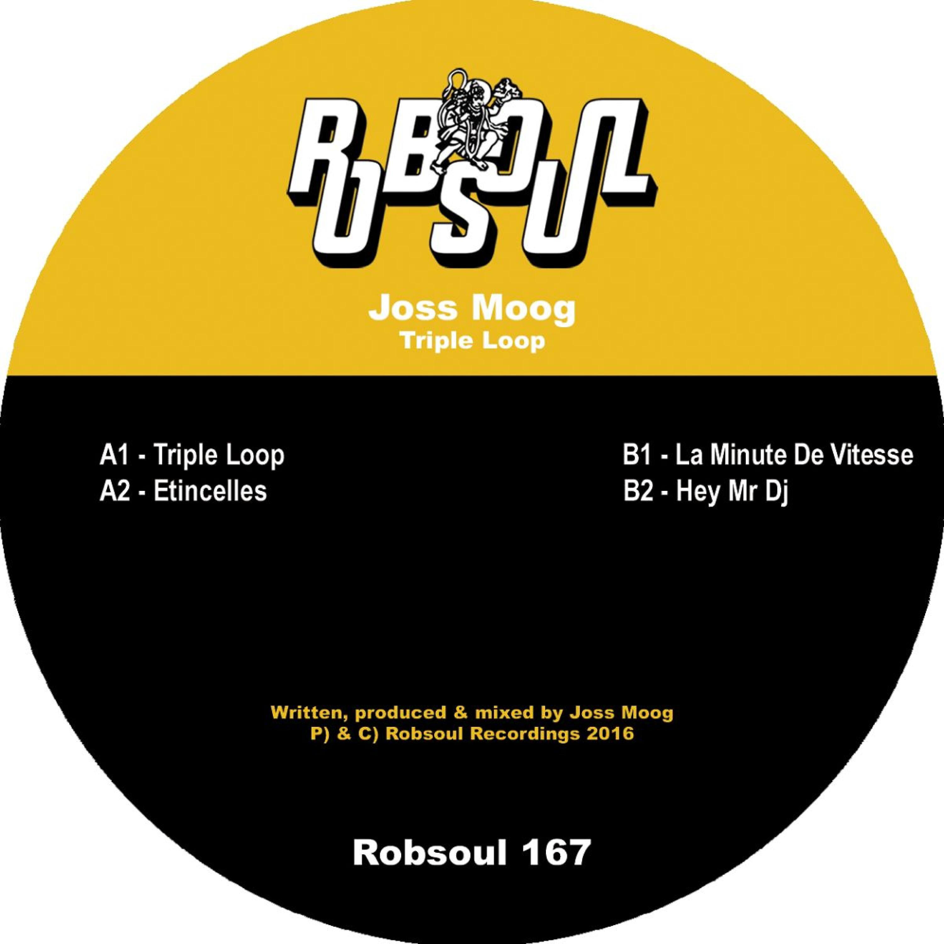 Joss Moog - Hey Mr DJ