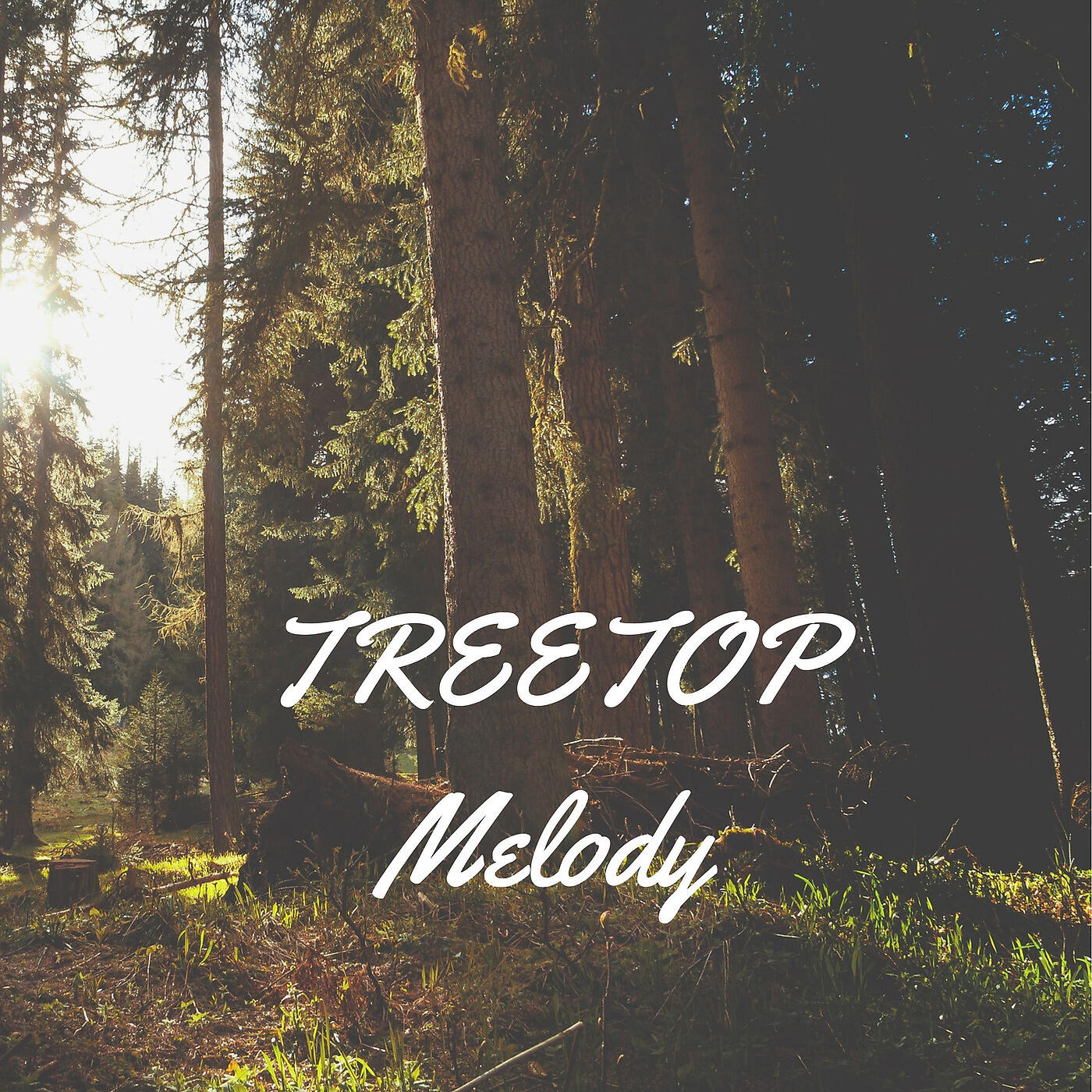 Latium - Treetop Melody