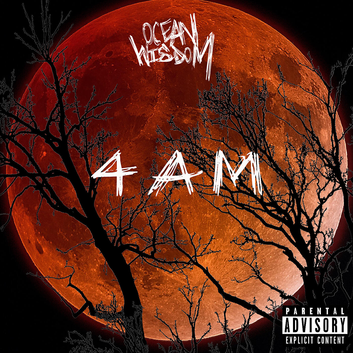Ocean Wisdom - 4AM
