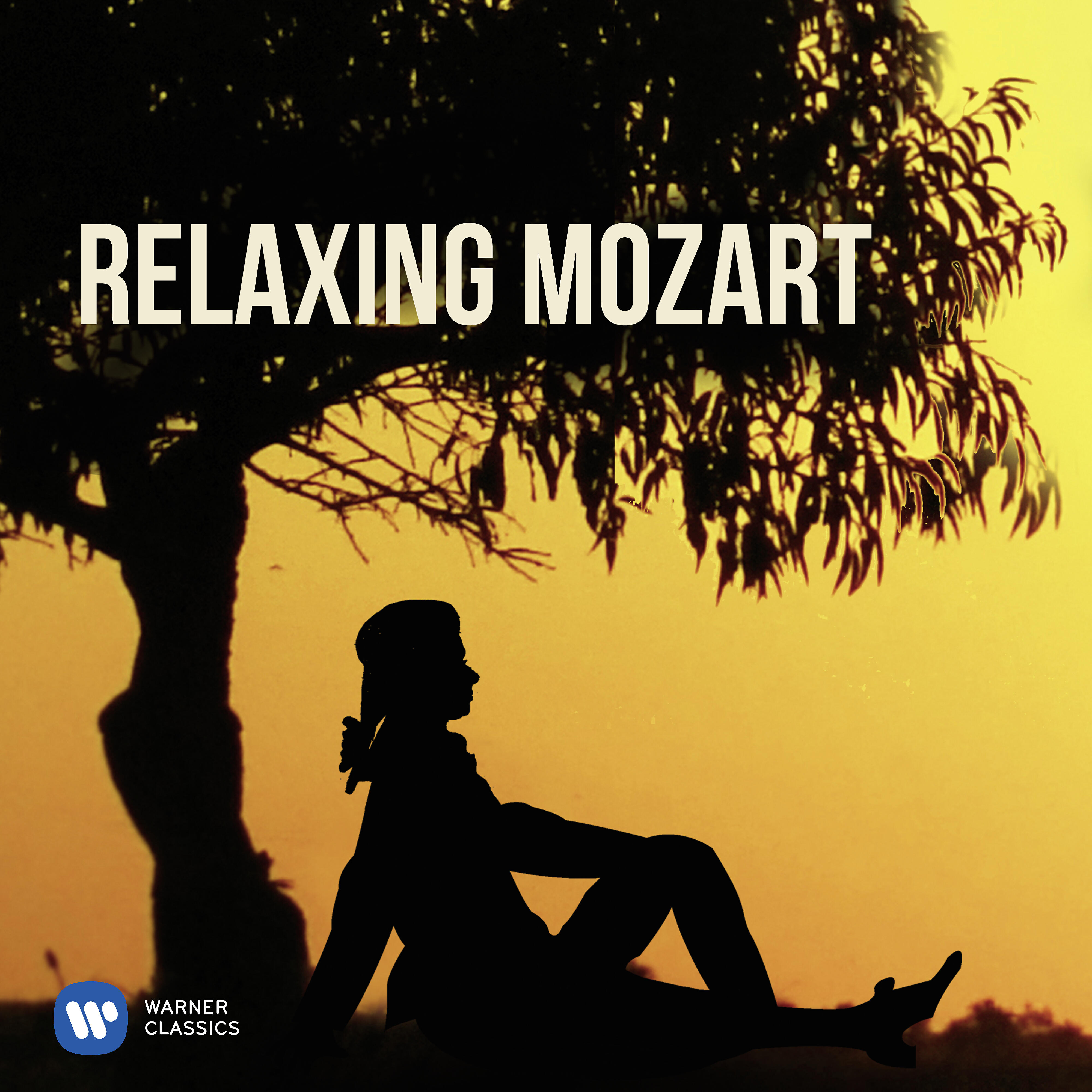 Scottish Chamber Orchestra - Symphony No. 39 in E-Flat Major, K. 543: II. Andante con moto