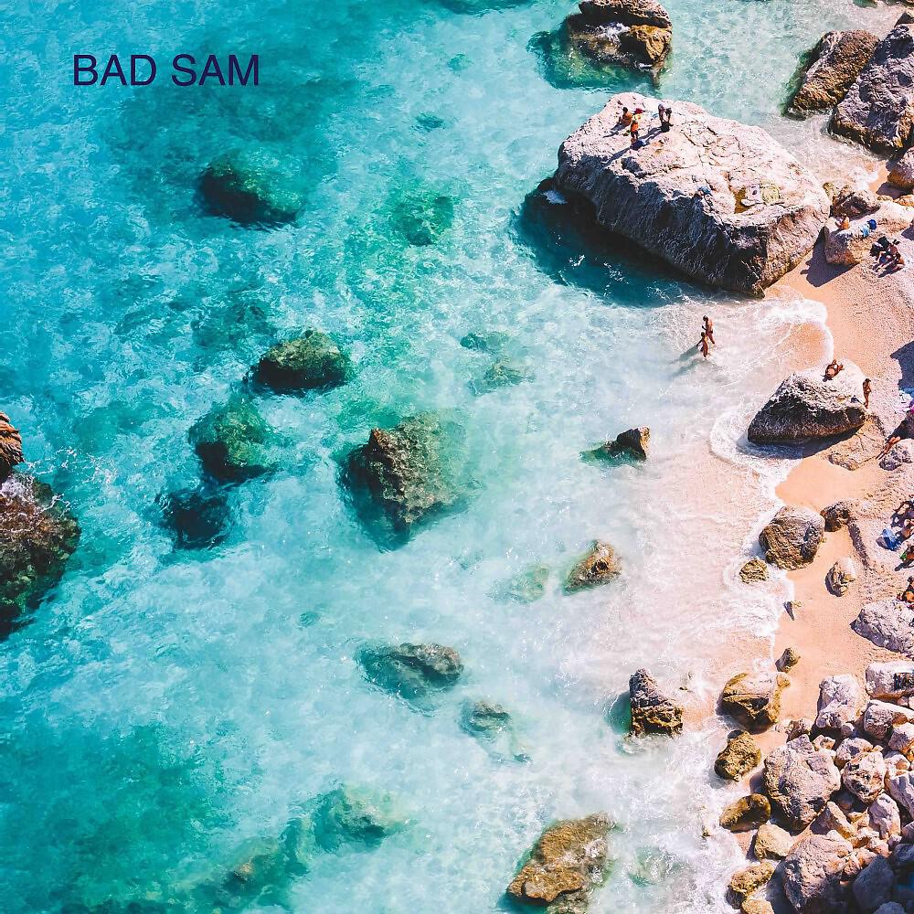 Bad Sam - Pas fai pou ret friend