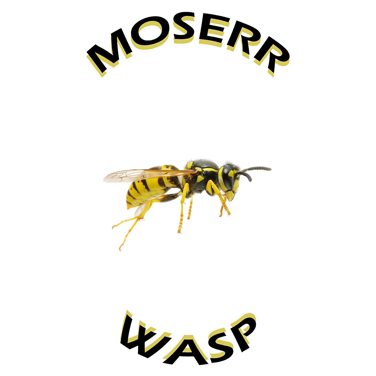 MOSERR - WASP