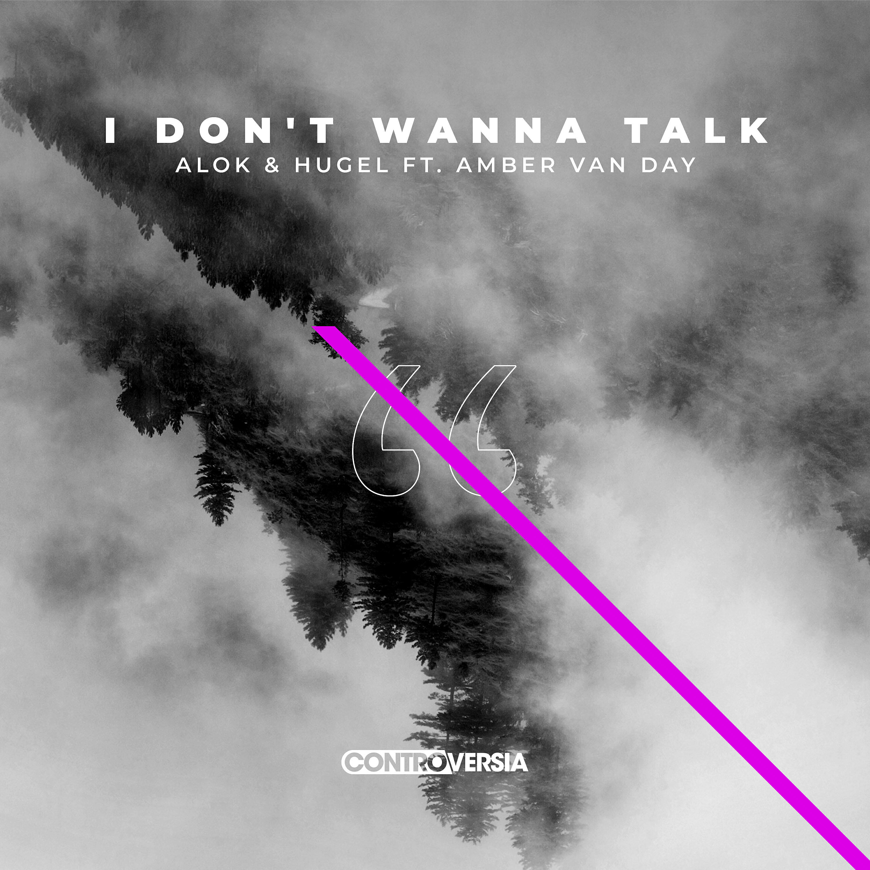 ALOK - I Don't Wanna Talk (feat. Amber Van Day)