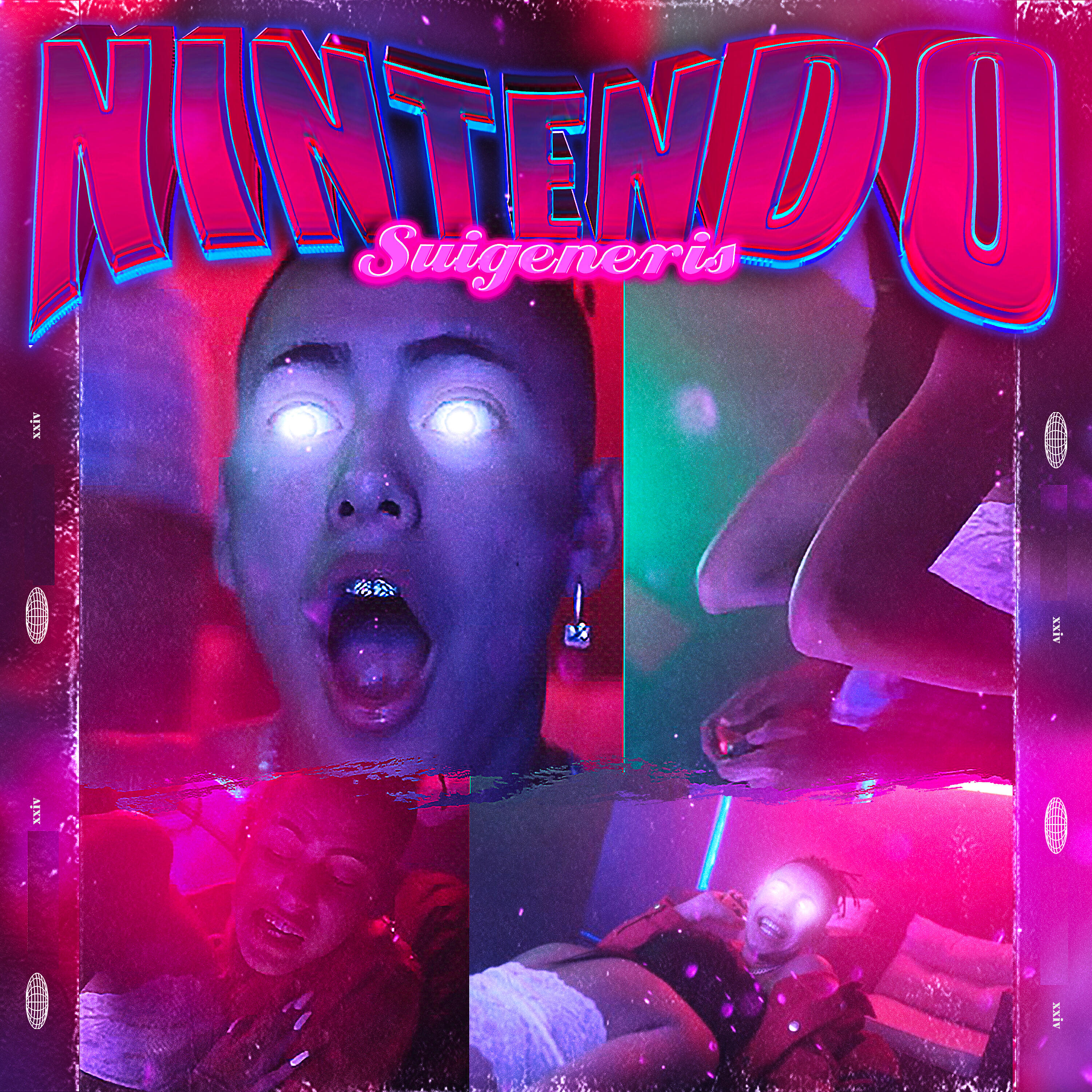 Suigeneris - Nintendo