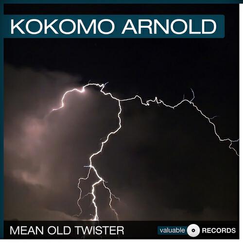 Kokomo Arnold - Neck Bone Blues (Remastered)
