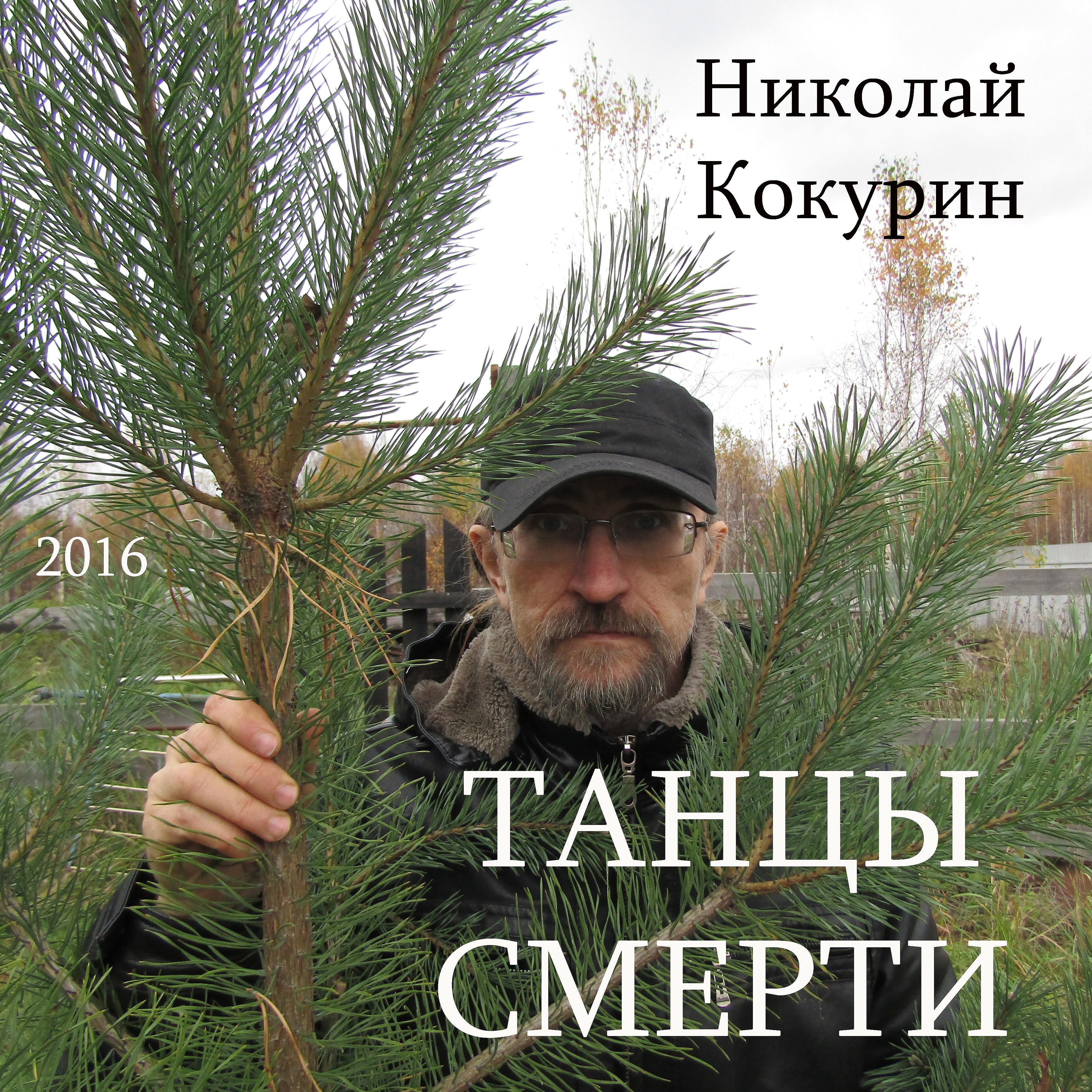 Николай Кокурин - Набат